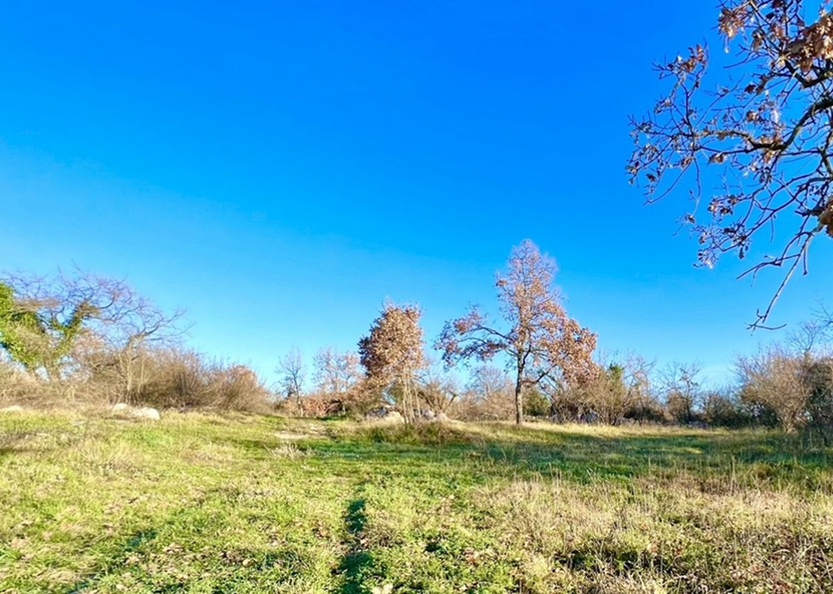 Kmetijsko zemljišče na odlični lokaciji, Režanci, Istra