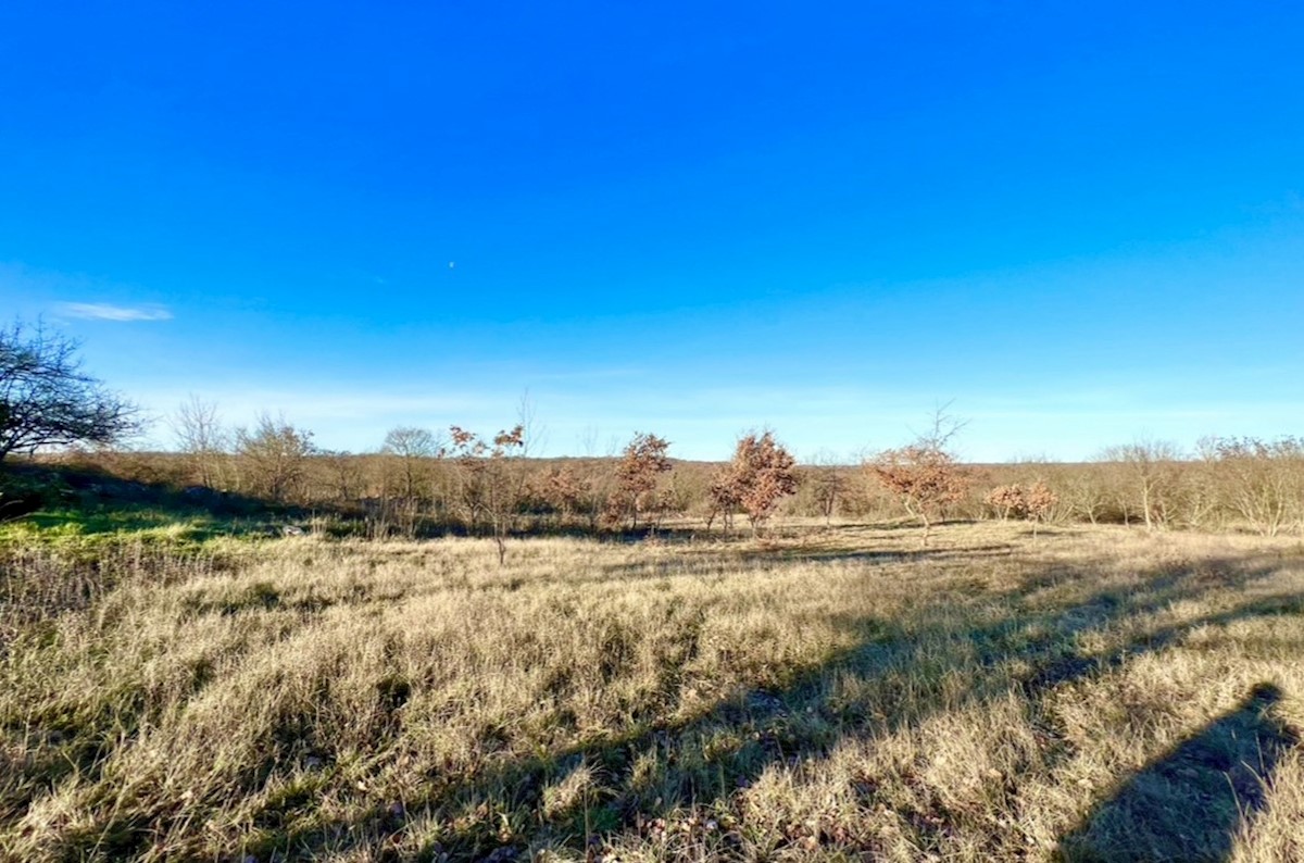 Kmetijsko zemljišče na odlični lokaciji, Režanci, Istra