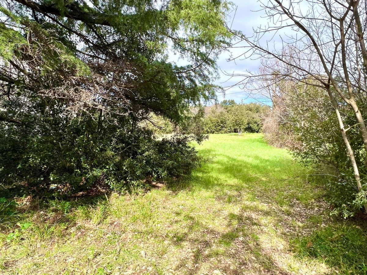 Gradbeno zemljišče na atraktivni lokaciji v Pulju, 1281 m2, Istra, Hrvaška