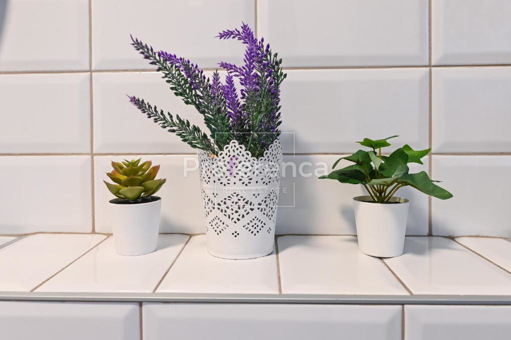 Dabovi stani, Novalja - vila s bazenom + zemljišče s projektom