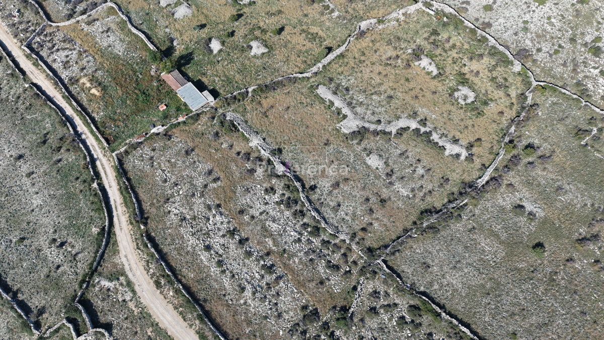 Povljana - kmetijsko zemljišče - DRUGI VRSTNI RED