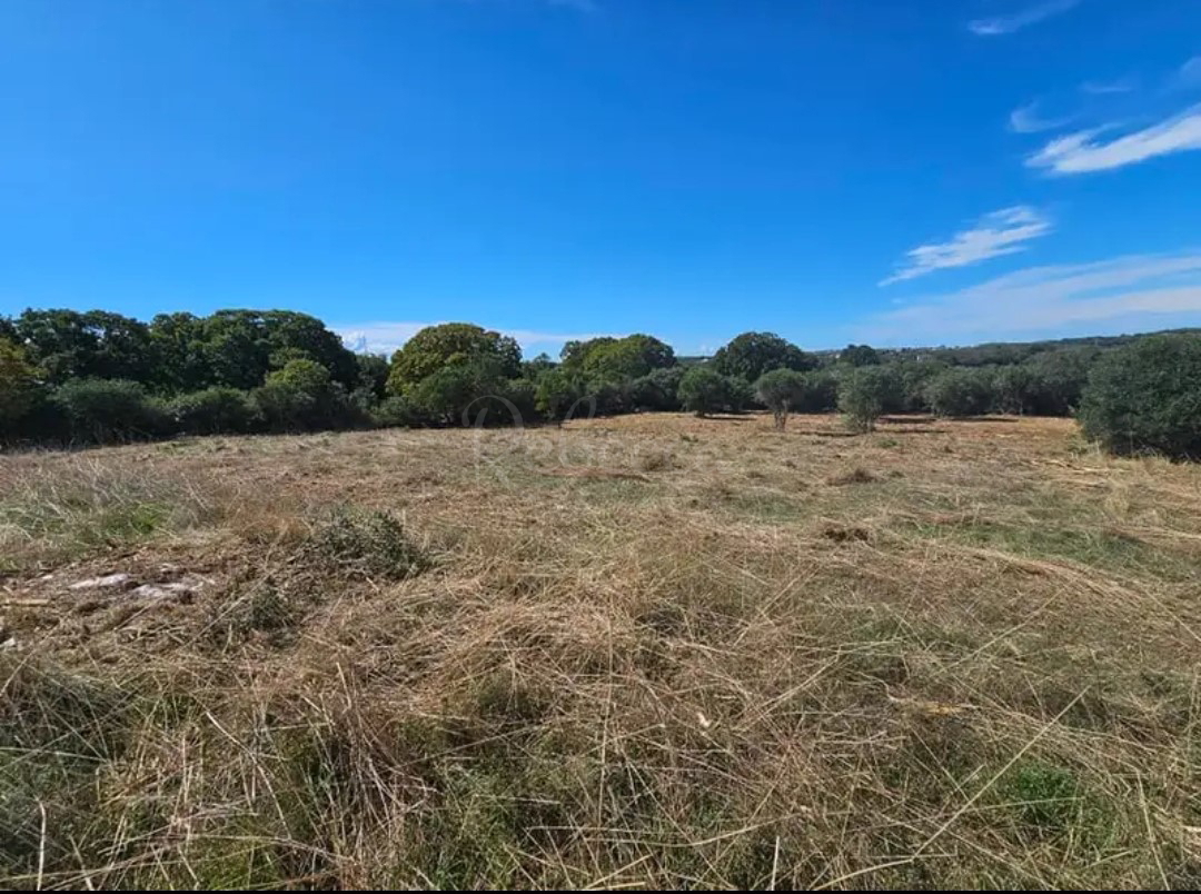 Kmetijsko zemljišče, 500 m2, Pula