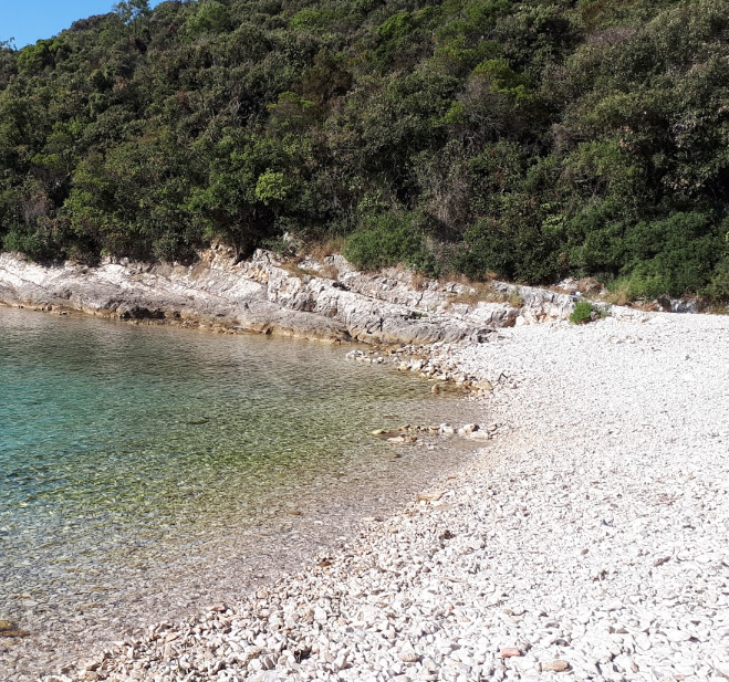 Kmetijsko zemljišče, 300 m morja, Kavran