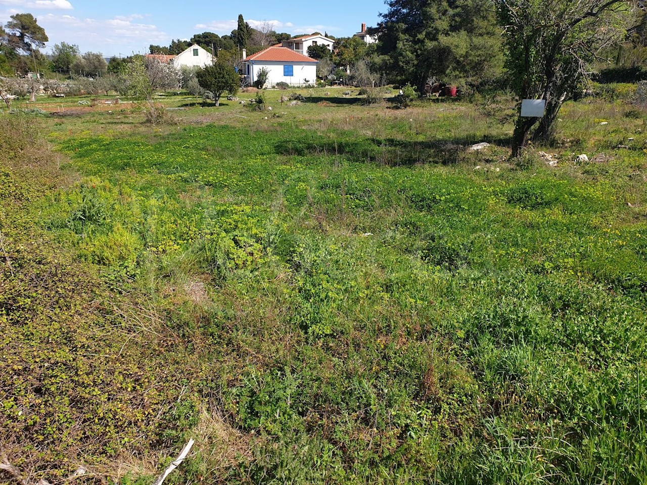 Zdrelac, Pasman, velika parcela druga vrsta do morja!