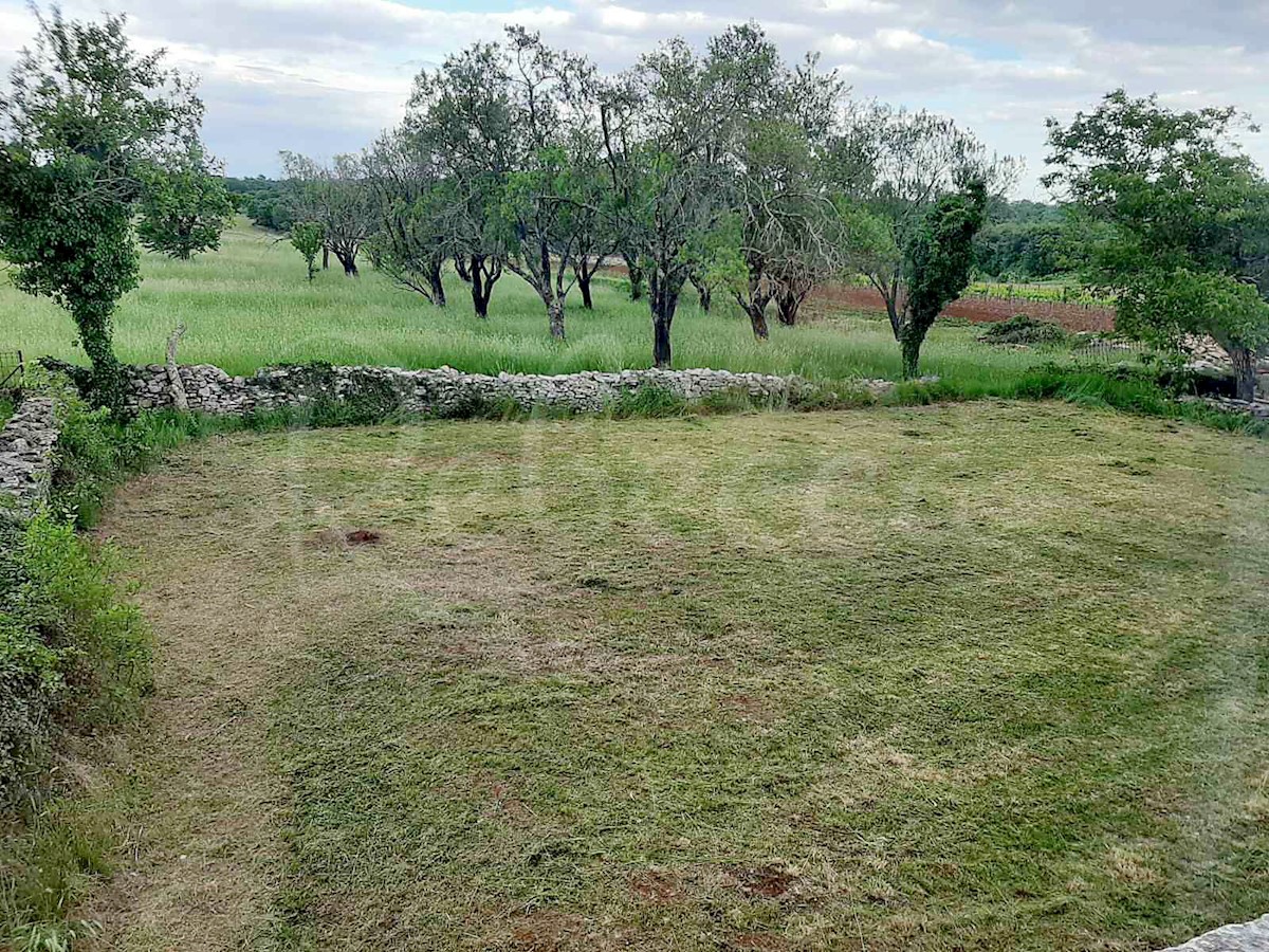 Kanfanar, Barat, istrska kamnita hiša za obnovo