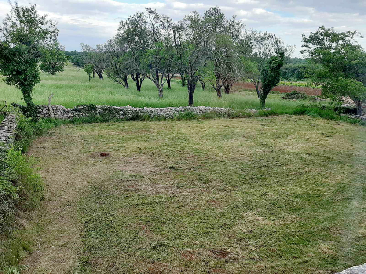 Kanfanar, Barat, istrska kamnita hiša za obnovo
