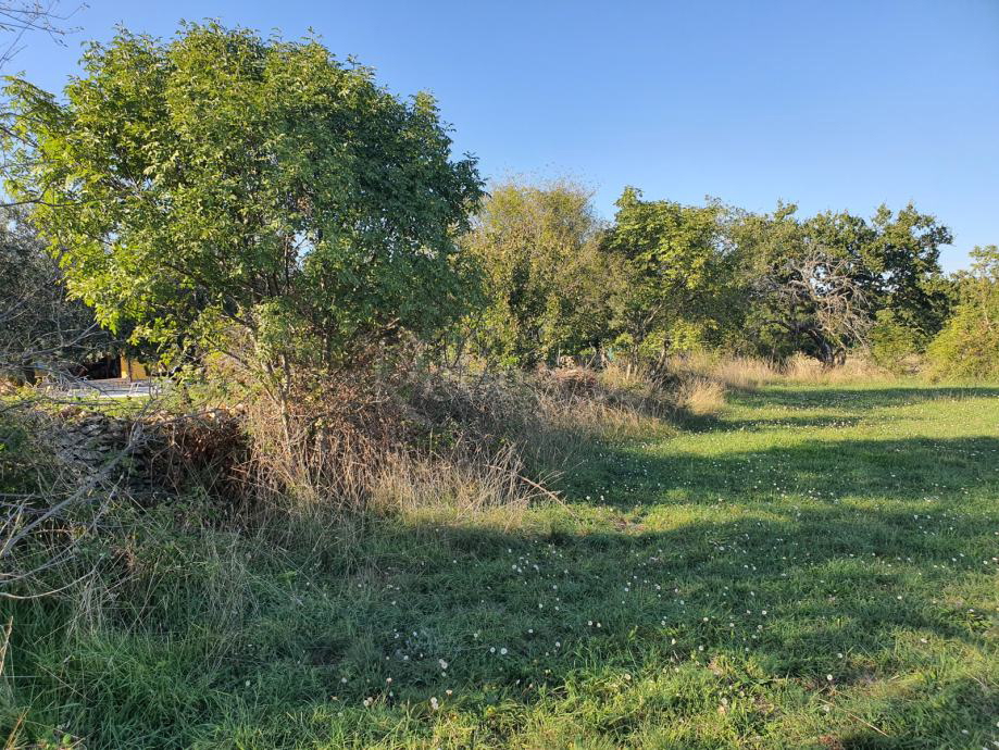 Stavbno in kmetijsko zemljišče, 7600 m2, v bližini Peruške