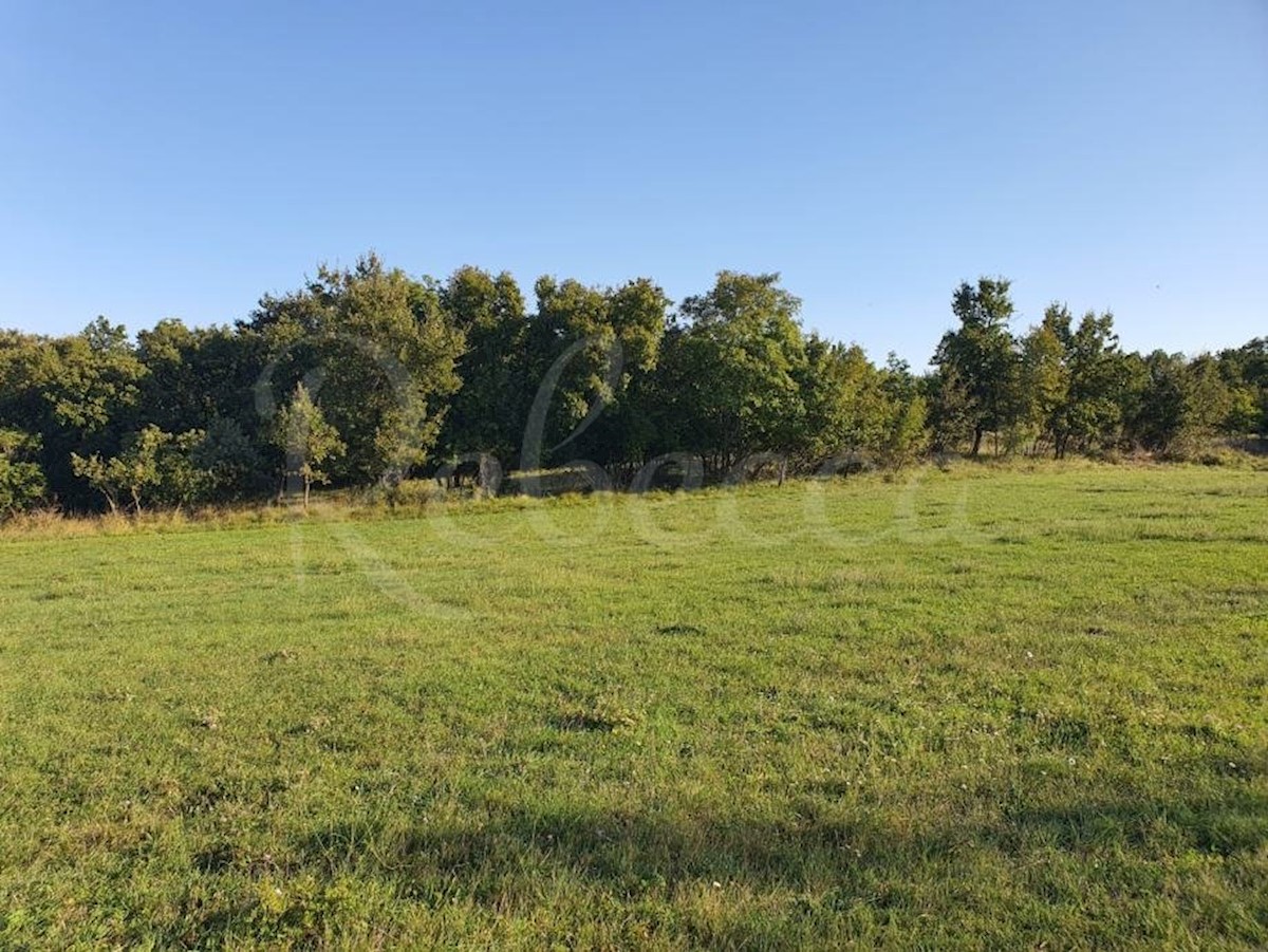 Stavbno in kmetijsko zemljišče, 7600 m2, v bližini Peruške