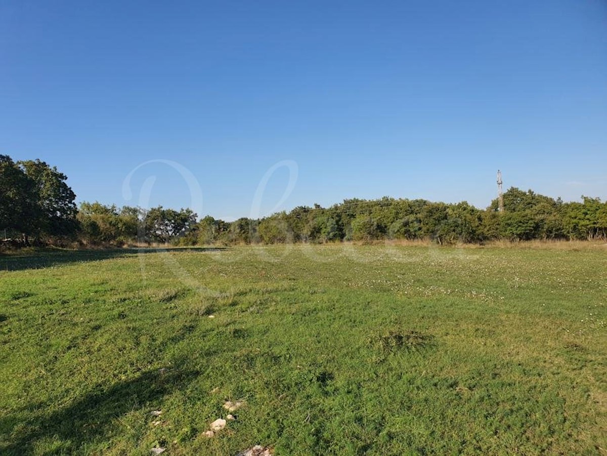 Stavbno in kmetijsko zemljišče, 7600 m2, v bližini Peruške