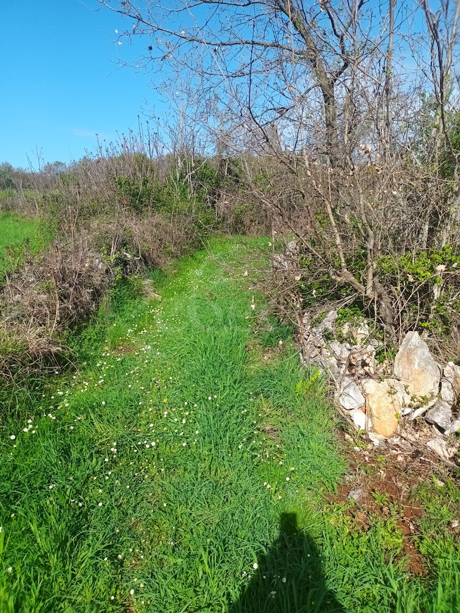 Stavbno kmetijsko zemljišče, 1967 m2 m2, Peruški