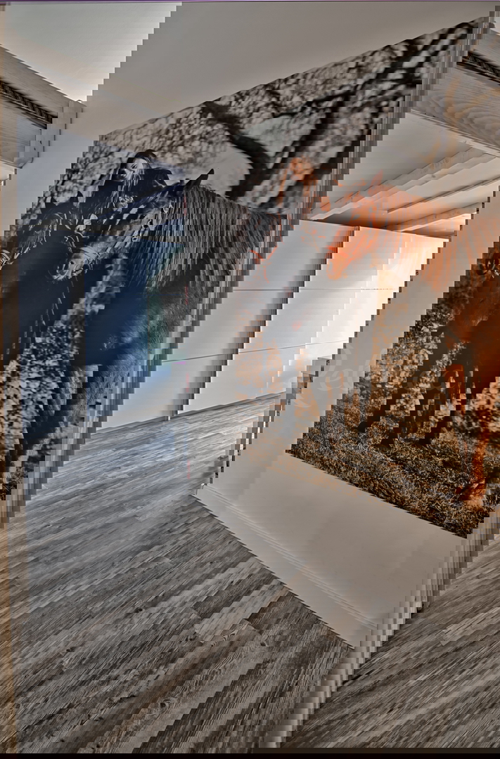 Pula: Edinstven apartma na rivi s pogledom na marino