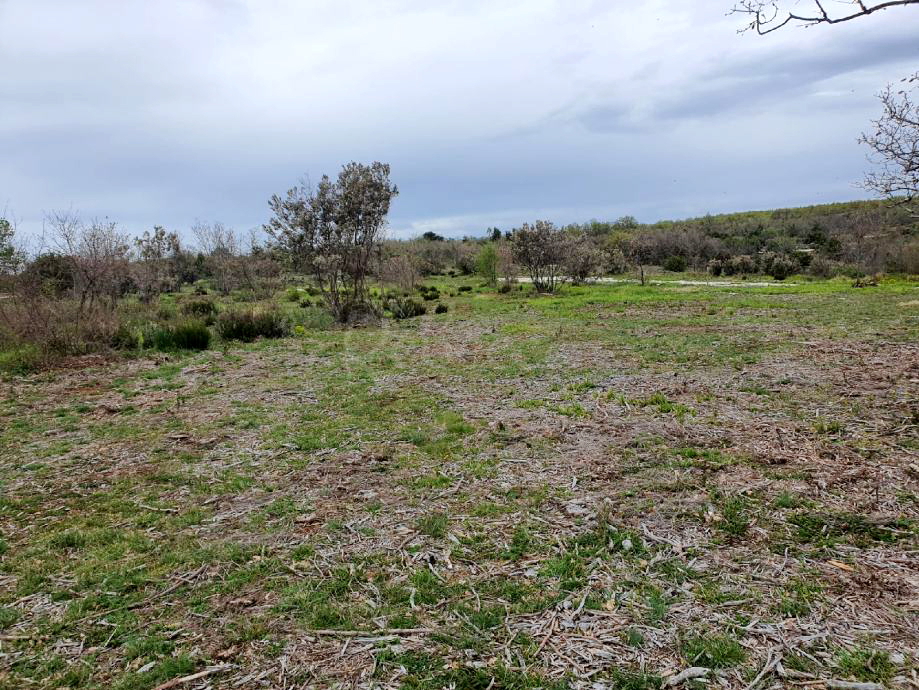 Marčana: Agricultural land 773 m2ng