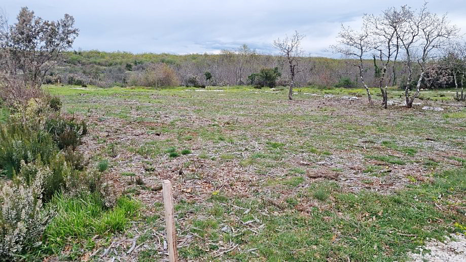 Marčana: Agricultural land 773 m2ng