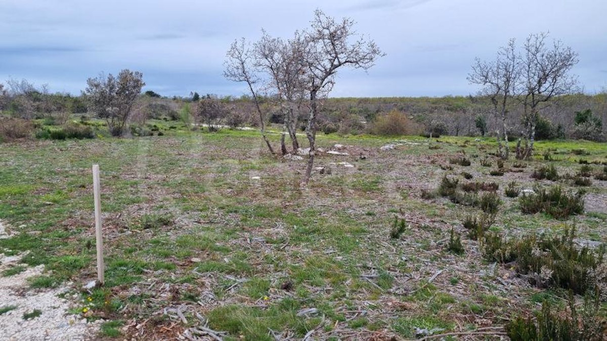 Marčana: Agricultural land 773 m2ng