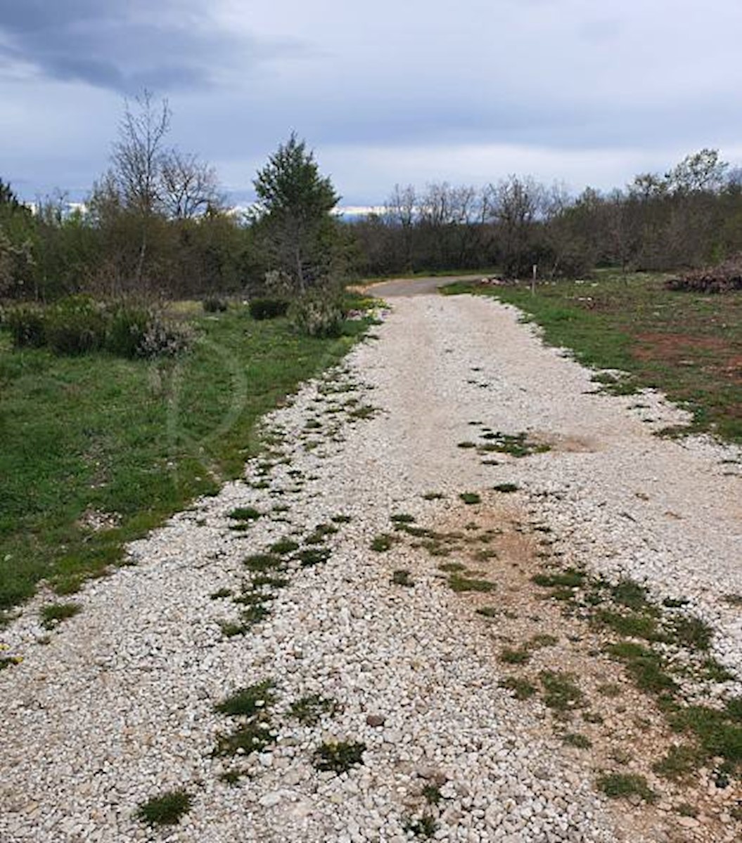 Marčana: Agricultural land 773 m2ng