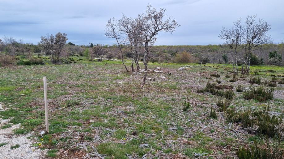 Marčana: Agricultural land 773 m2ng