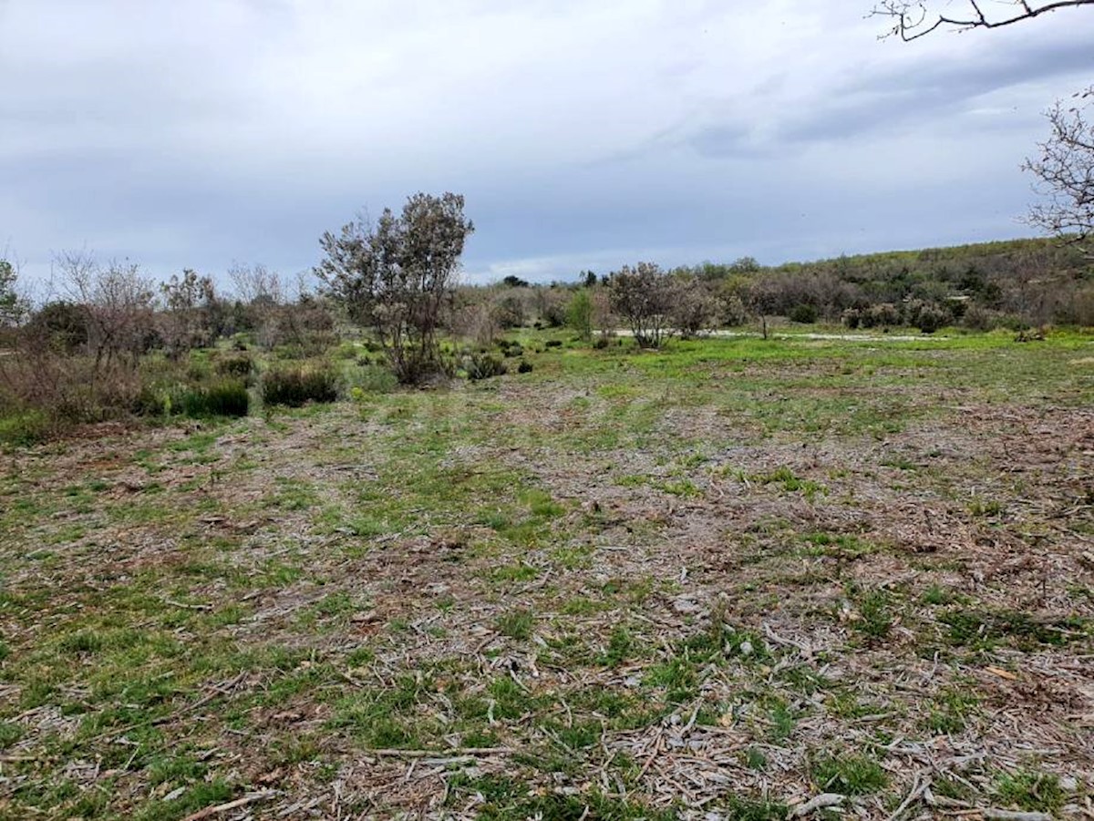 Marčana: Agricultural land 773 m2ng