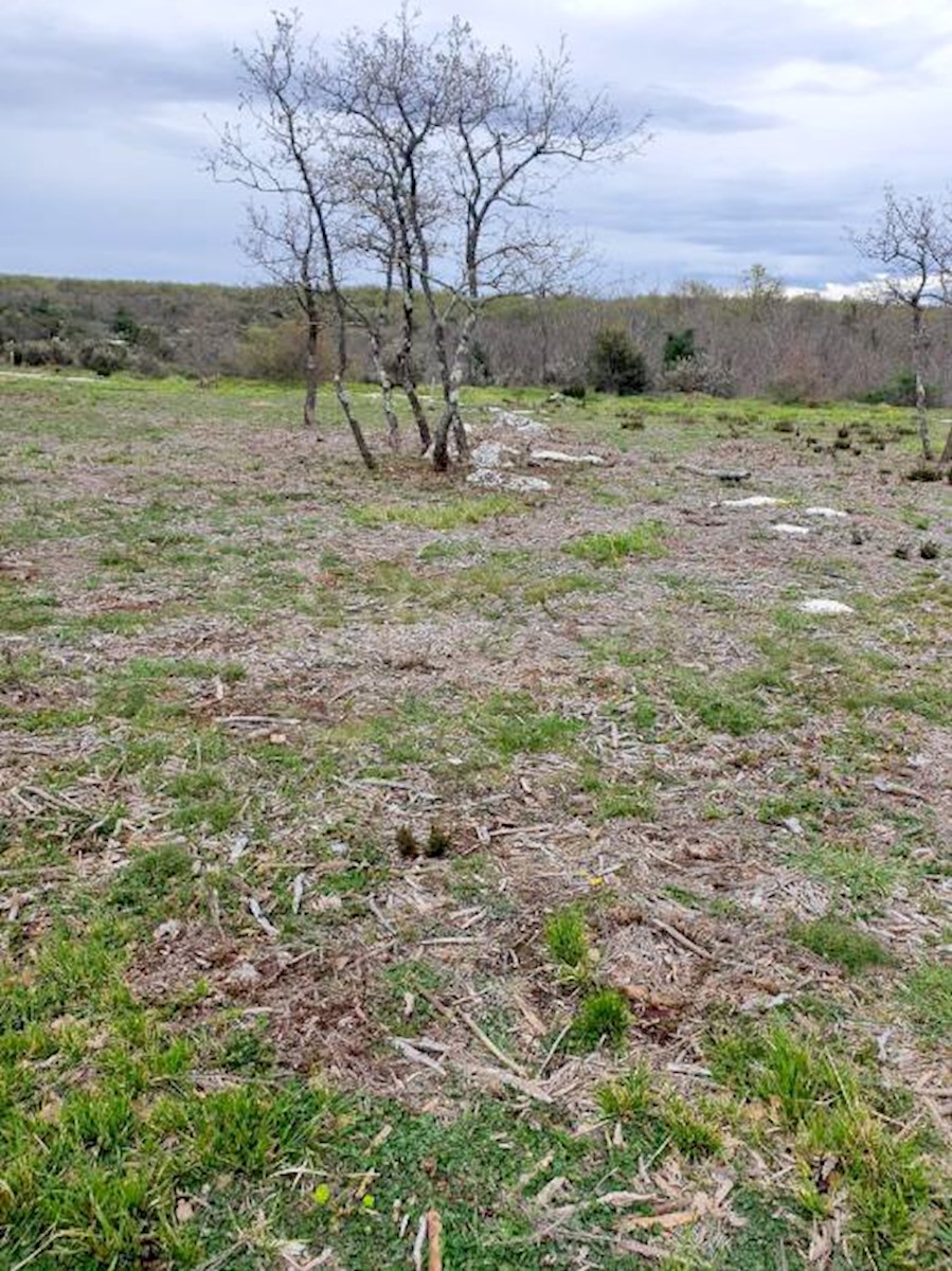 Marčana: Agricultural land 773 m2ng