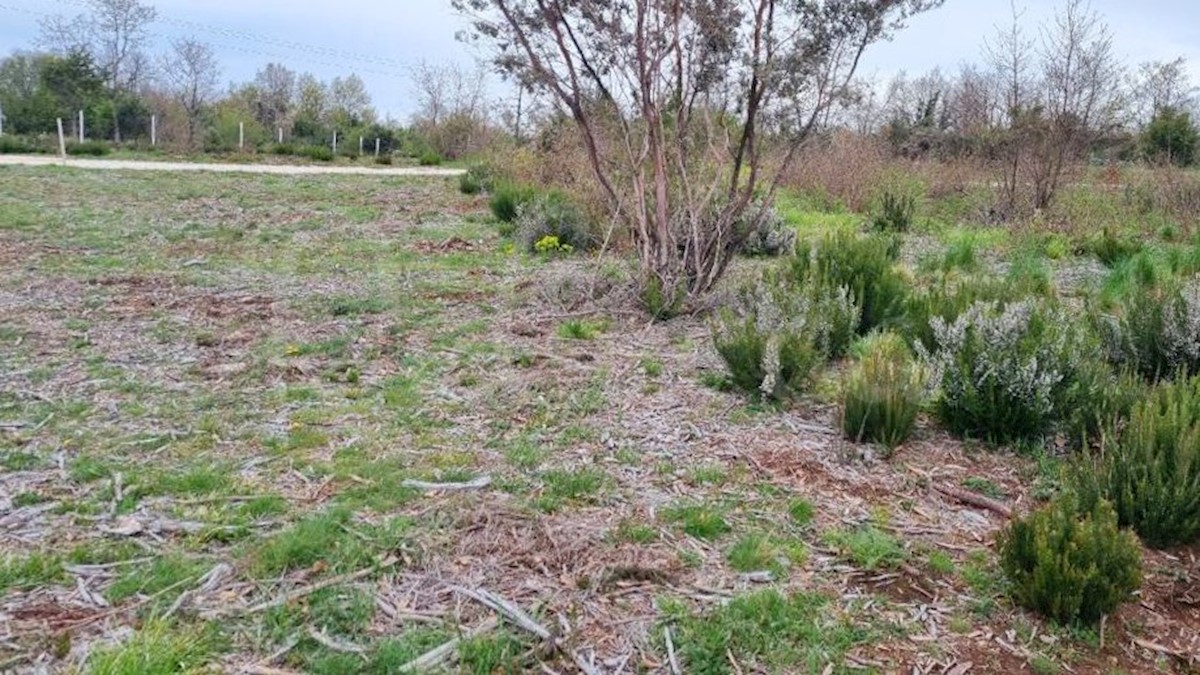 Marčana: Agricultural land 773 m2ng