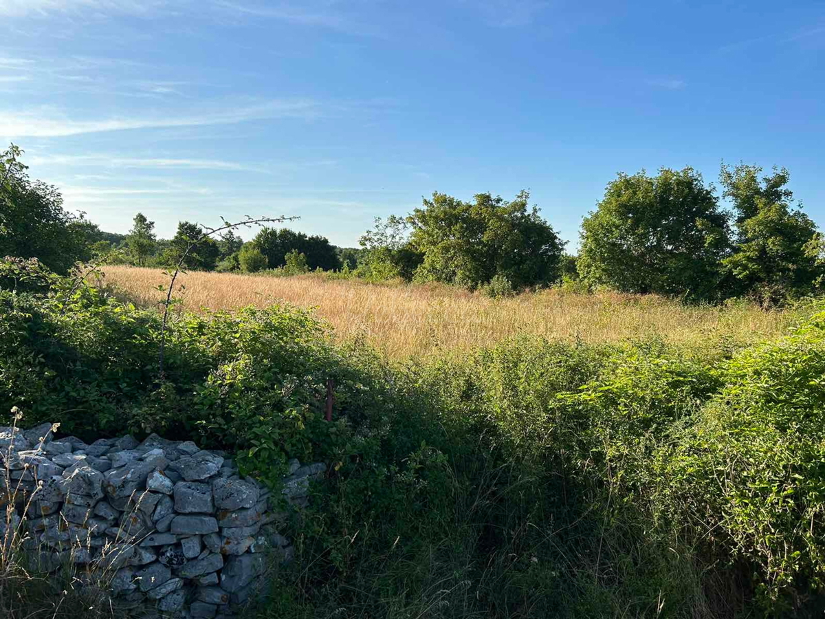 Zazidljivo zemljišče 1381 m2