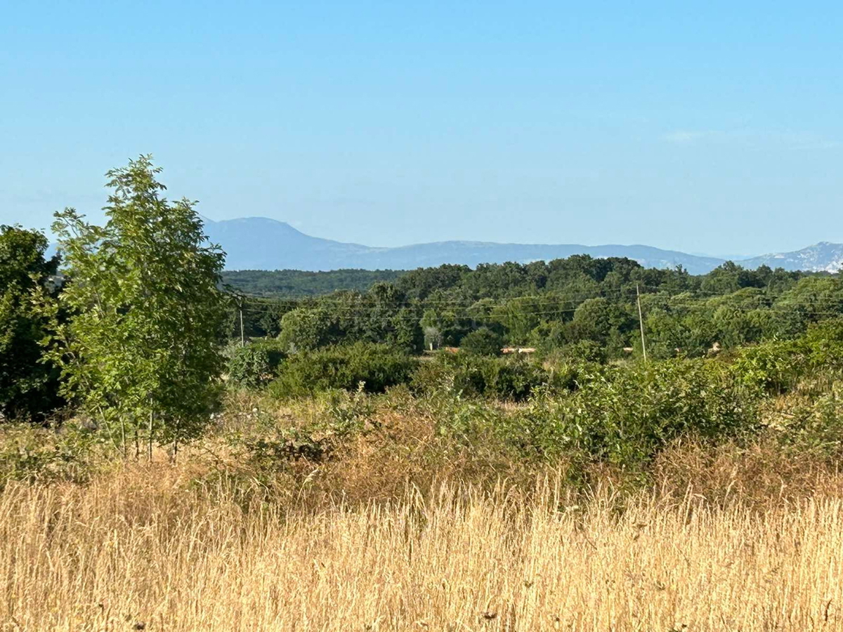 Zazidljivo zemljišče 1381 m2