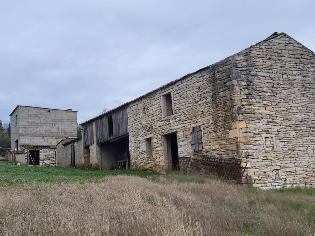Umag, okolica, veliko istrsko posestvo 7500 m2 z odprtim pogledom, PRILOŽNOST!
