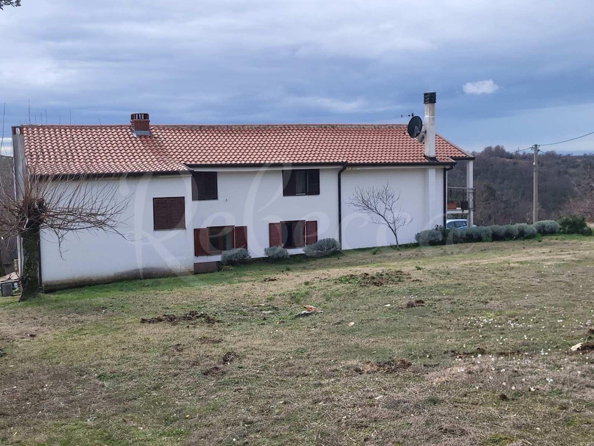 Umag, okolica, veliko istrsko posestvo 7500 m2 z odprtim pogledom, PRILOŽNOST!