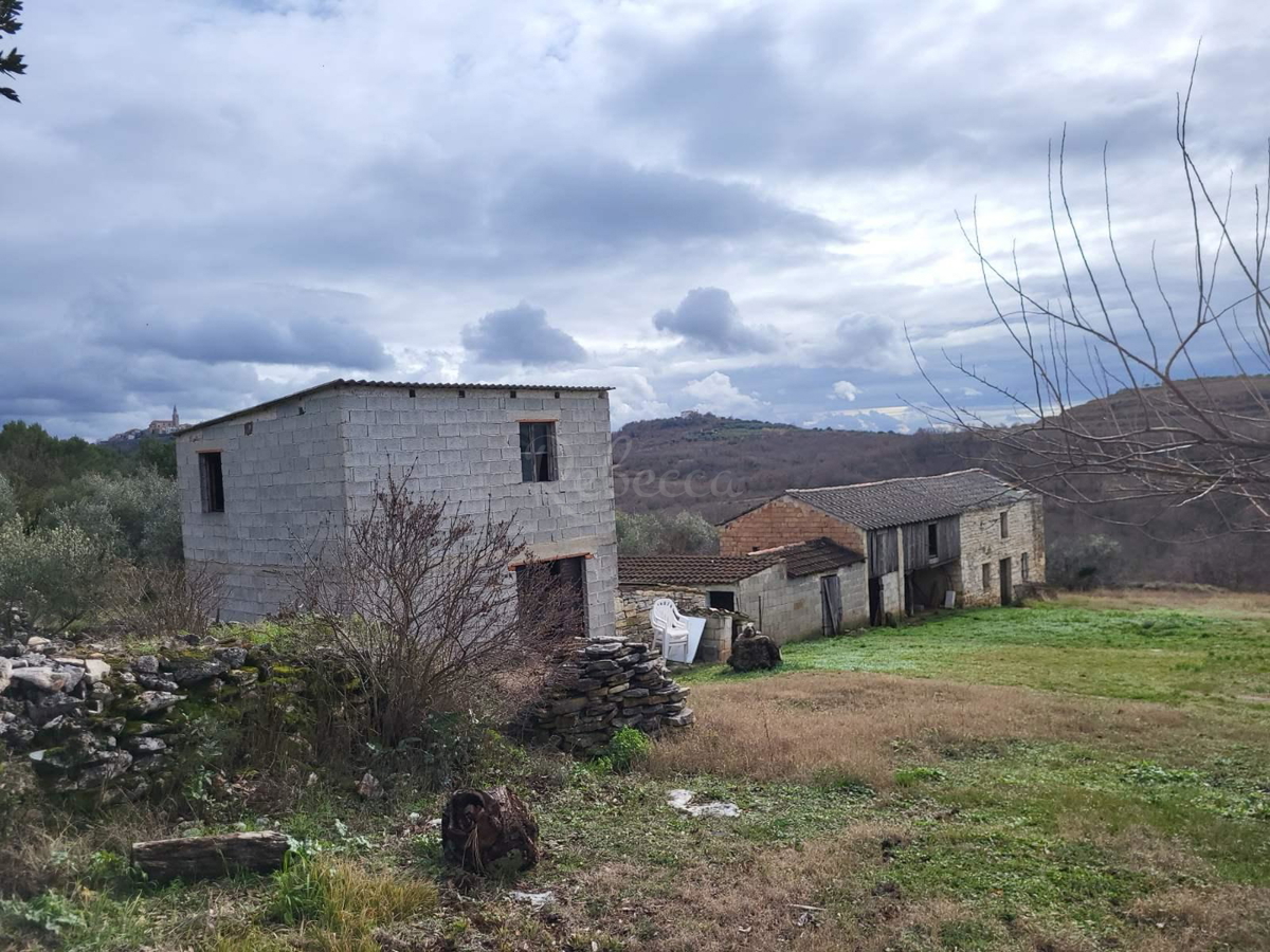 Umag, okolica, veliko istrsko posestvo 7500 m2 z odprtim pogledom, PRILOŽNOST!