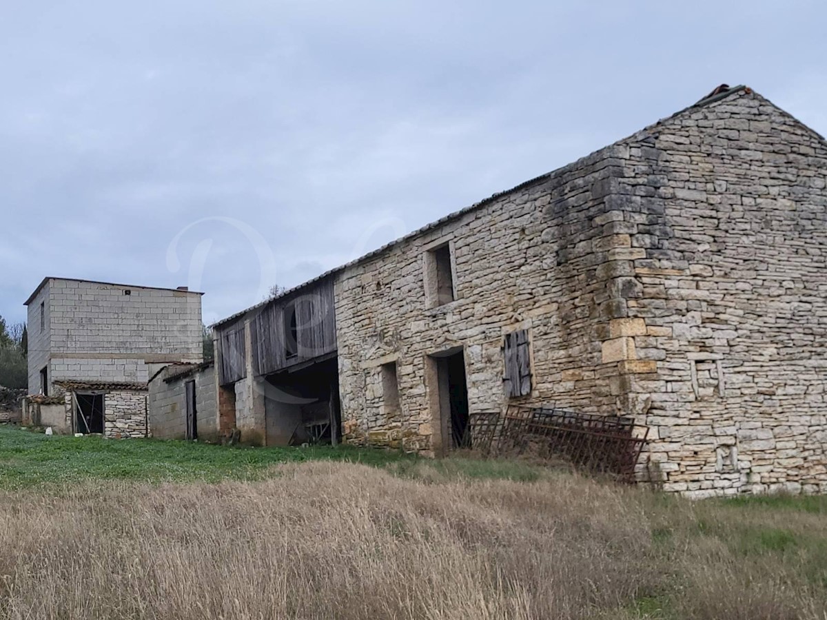 Umag, okolica, veliko istrsko posestvo 7500 m2 z odprtim pogledom, PRILOŽNOST!