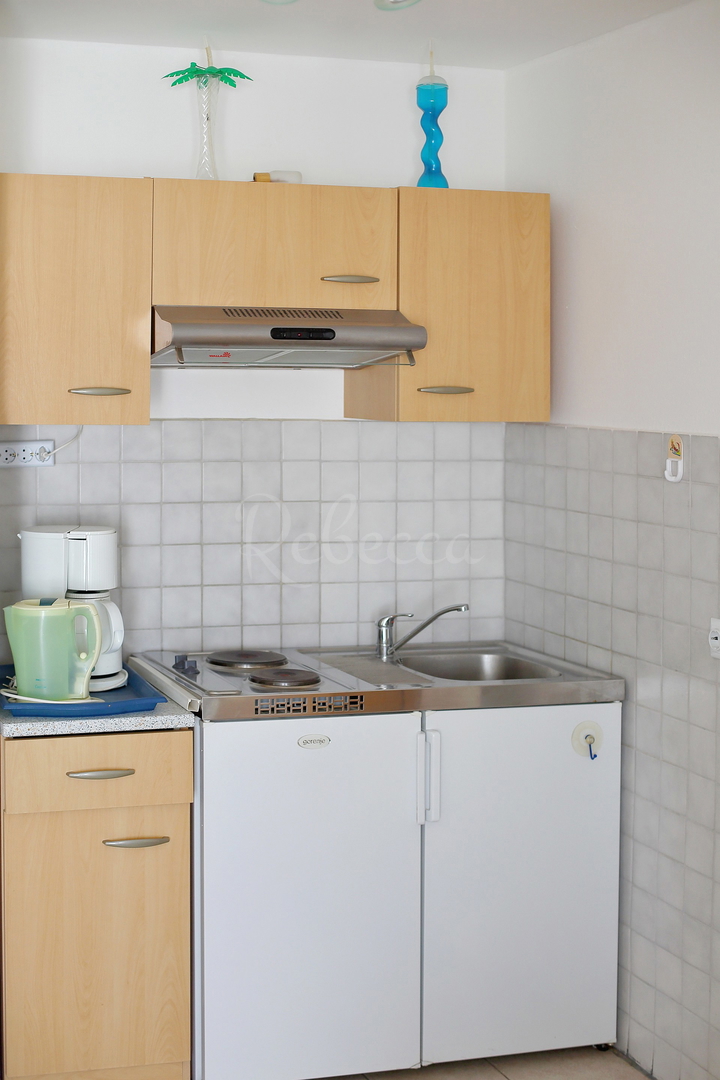 Vir, Center, dvojna hiša s 4 apartmaji!