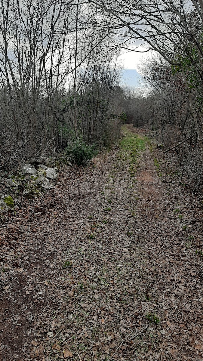 Kmetijsko zemljišče, 10240 m2, Rakalj