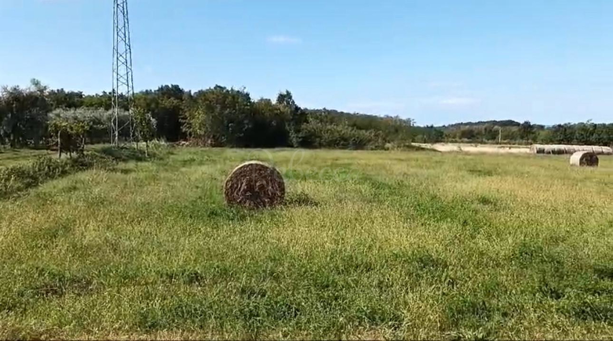 ISTRA, BRTONIGLA, KMETIJSKO ZEMLJIŠČE 7596 M2