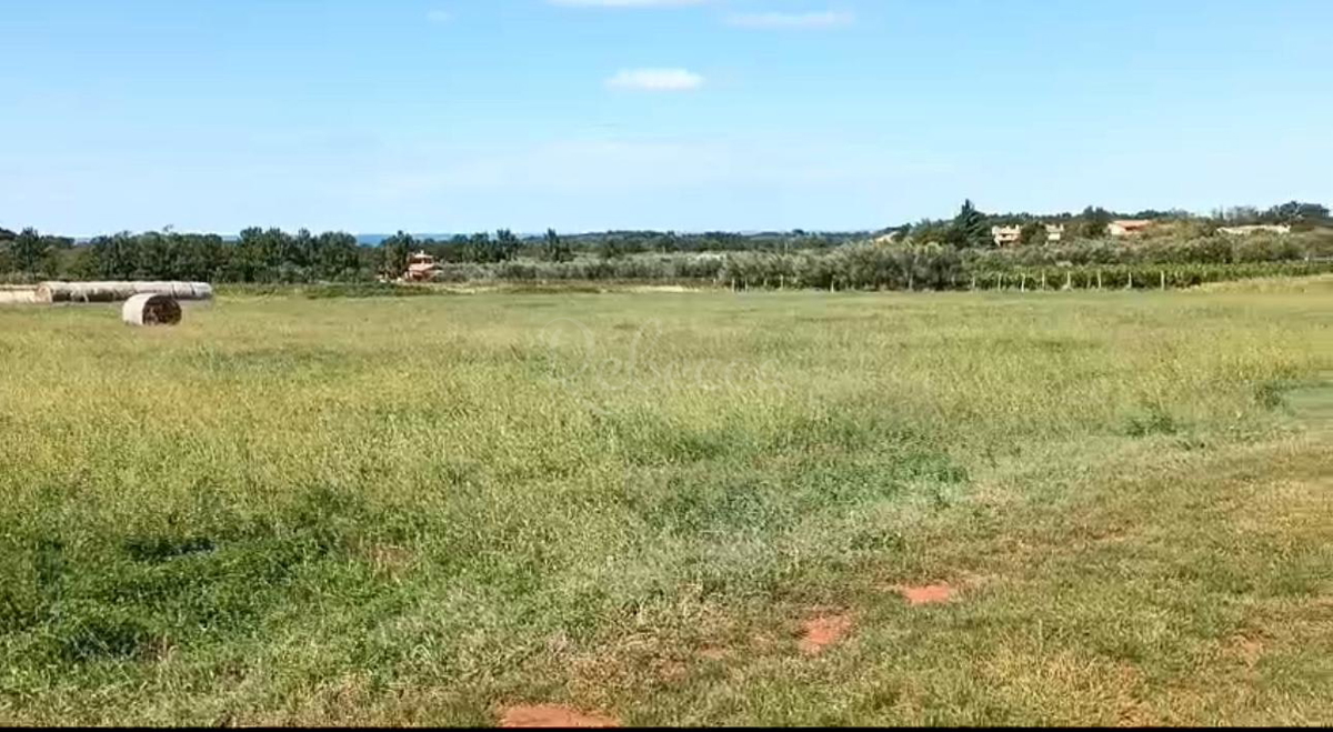 ISTRA, BRTONIGLA, KMETIJSKO ZEMLJIŠČE 7596 M2