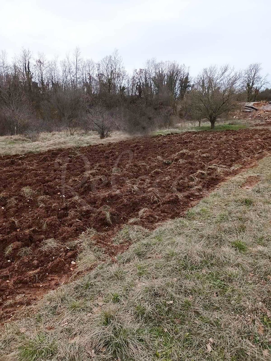 V bližini Pule je naprodaj samostojna hiša velikosti 140 m2. Sestoji iz pritličja in enega nadstropja. Ima velik vrt.