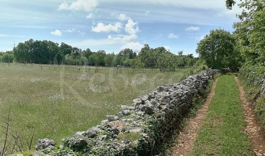 Kmetijsko zemljišče, 9000 m2, okolica Barbana