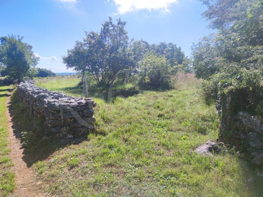 Kmetijsko zemljišče, 9000 m2, okolica Barbana