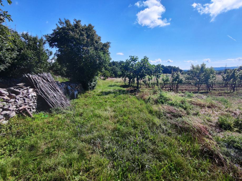 Kmetijsko zemljišče, 9000 m2, okolica Barbana