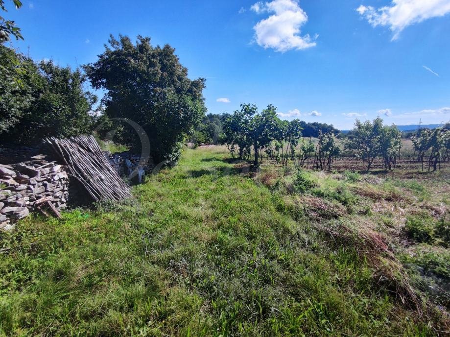 Kmetijsko zemljišče, 9000 m2, okolica Barbana