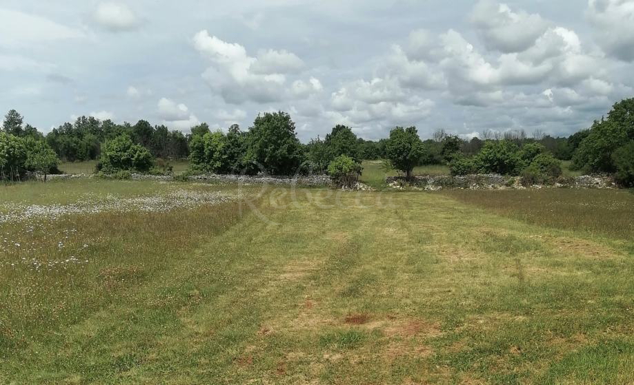 Kmetijsko zemljišče, 9000 m2, okolica Barbana