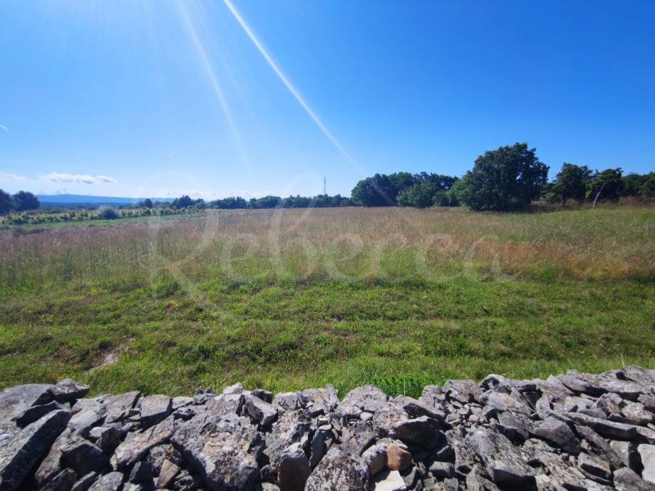 Kmetijsko zemljišče, 9000 m2, okolica Barbana