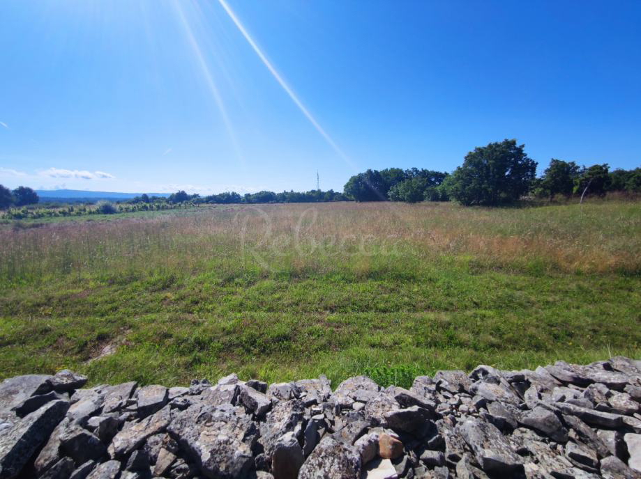 Kmetijsko zemljišče, 9000 m2, okolica Barbana