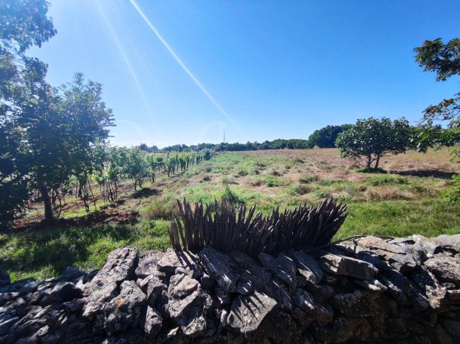 Kmetijsko zemljišče, 9000 m2, okolica Barbana