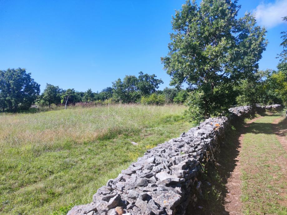 Kmetijsko zemljišče, 9000 m2, okolica Barbana