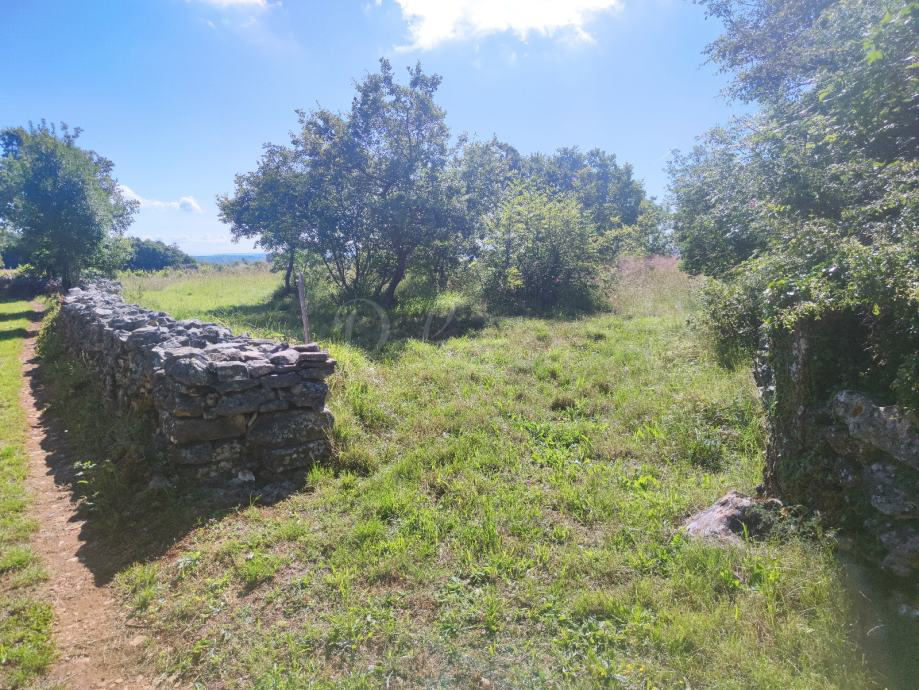 Kmetijsko zemljišče, 9000 m2, okolica Barbana