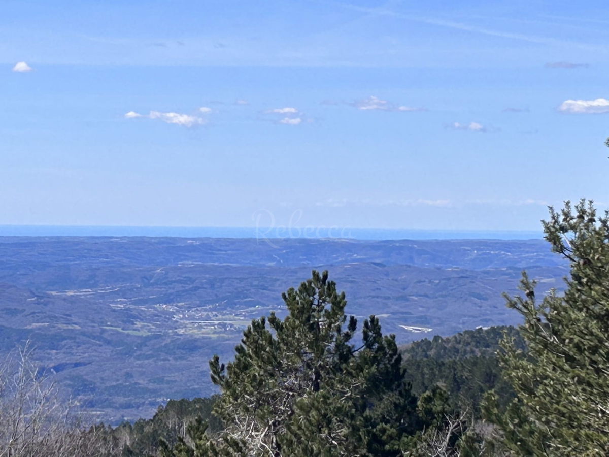 ISTRA, LANIŠĆE, BREST, KMETIJSKO ZEMLJIŠČE 41157 M2, POGLED NA MORJE