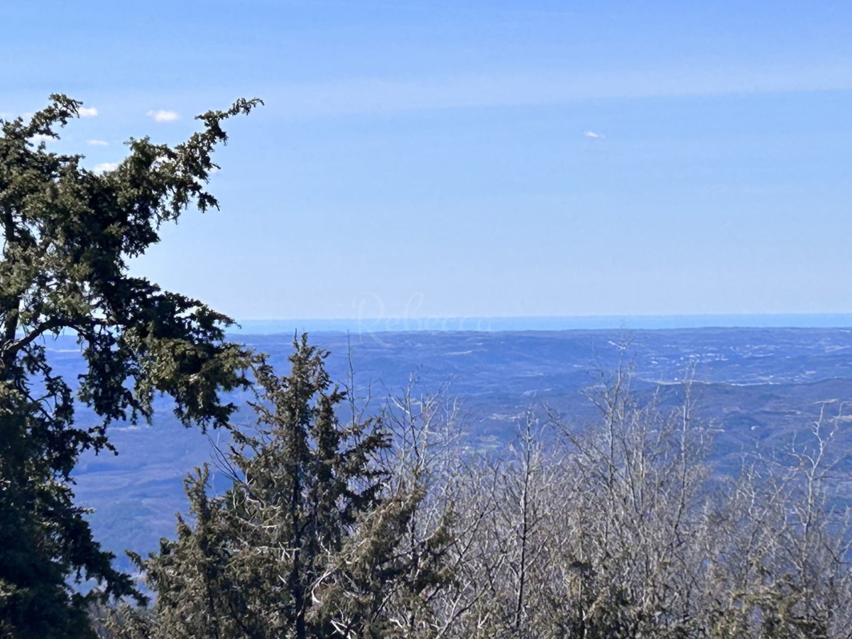 ISTRA, LANIŠĆE, BREST, KMETIJSKO ZEMLJIŠČE 41157 M2, POGLED NA MORJE