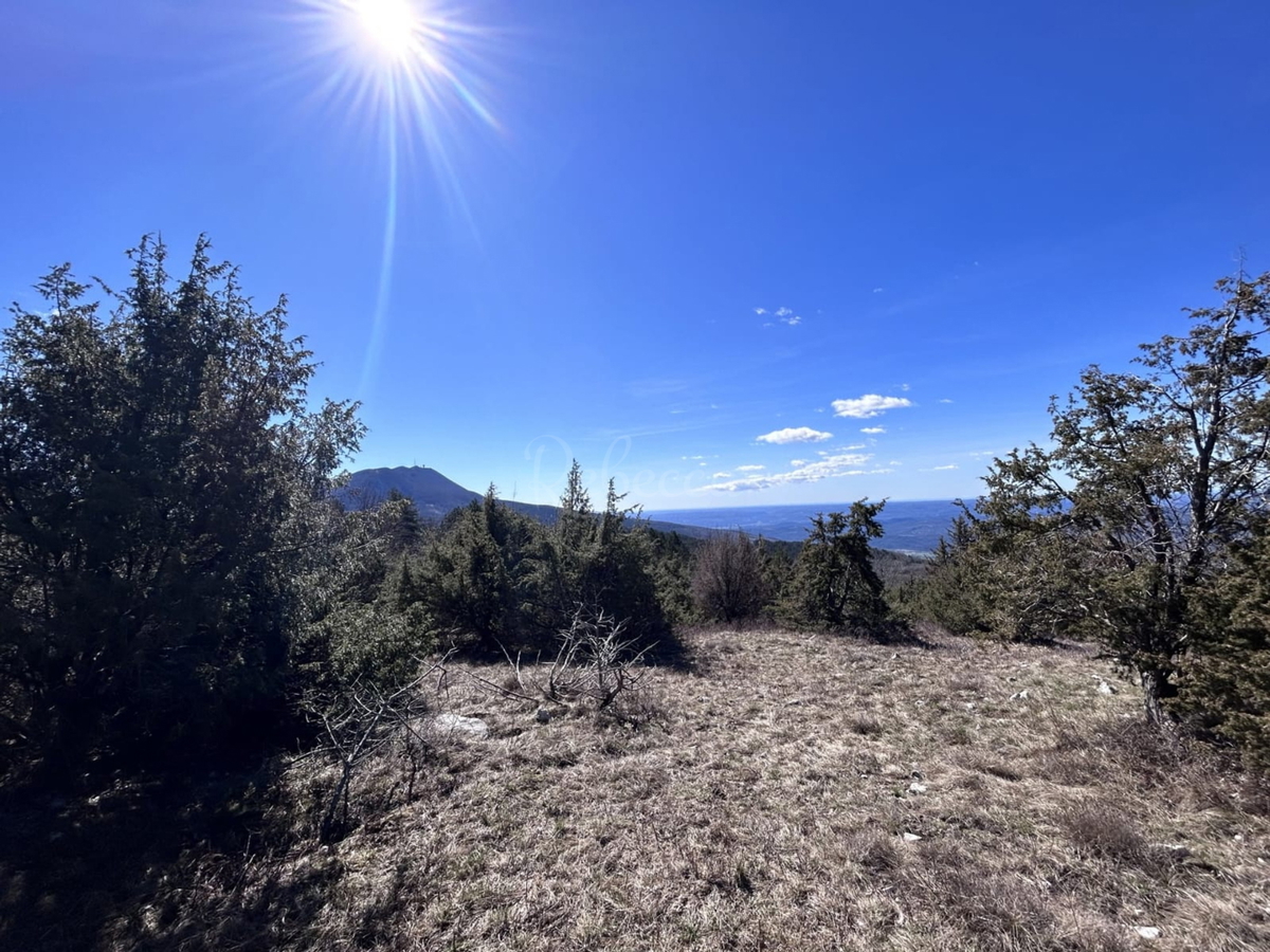 ISTRA, LANIŠĆE, BREST, KMETIJSKO ZEMLJIŠČE 41157 M2, POGLED NA MORJE