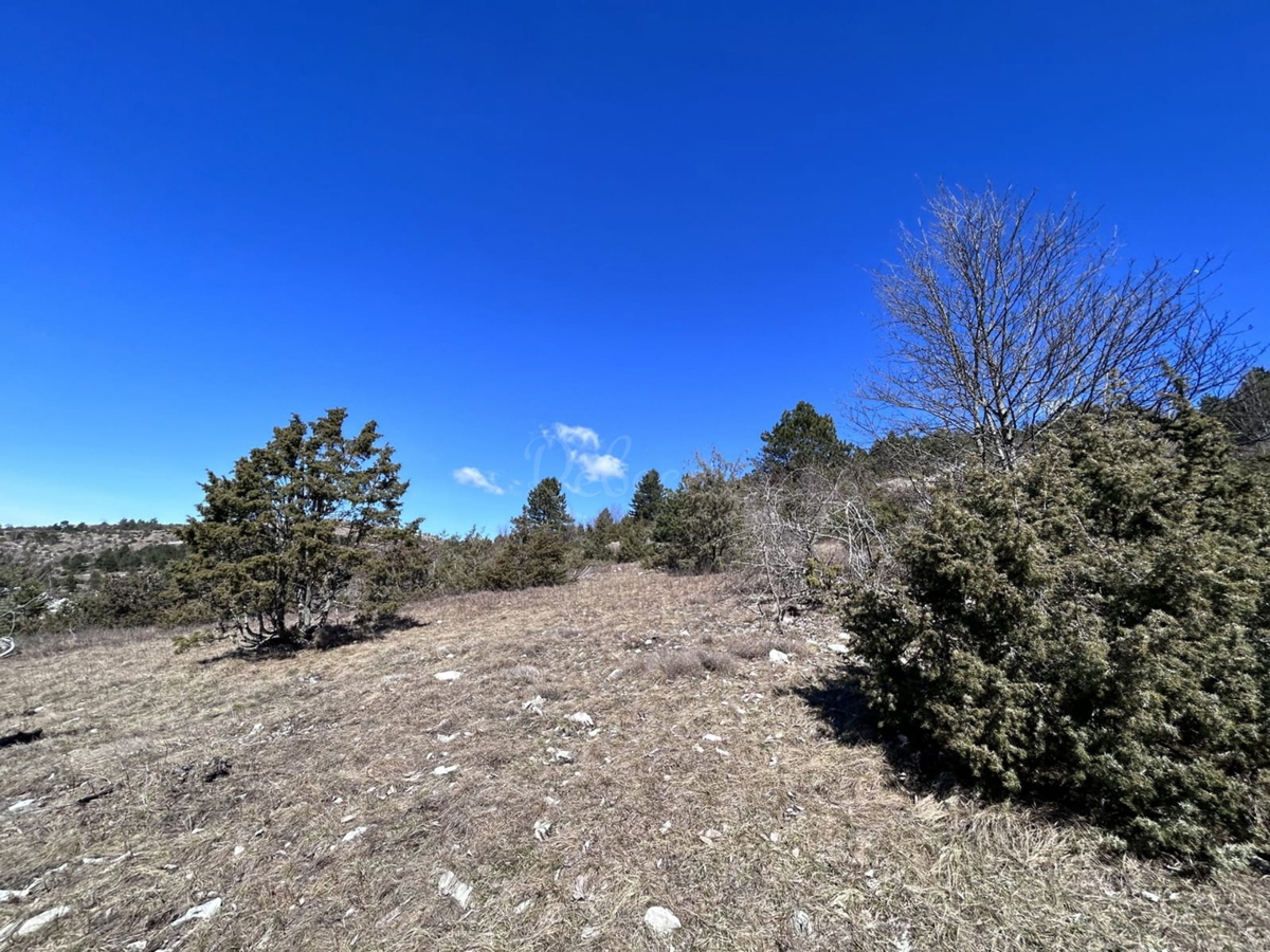 ISTRA, LANIŠĆE, BREST, KMETIJSKO ZEMLJIŠČE 41157 M2, POGLED NA MORJE
