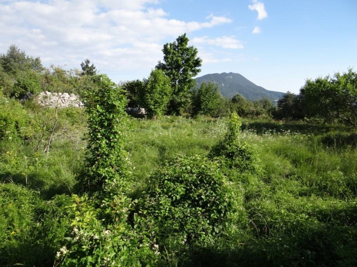 ISTRA, LANIŠĆE, BREST, KMETIJSKO ZEMLJIŠČE 41157 M2, POGLED NA MORJE