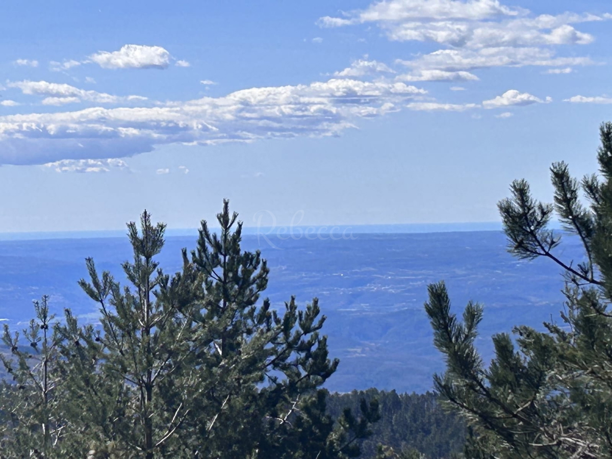 ISTRA, LANIŠĆE, BREST, KMETIJSKO ZEMLJIŠČE 41157 M2, POGLED NA MORJE